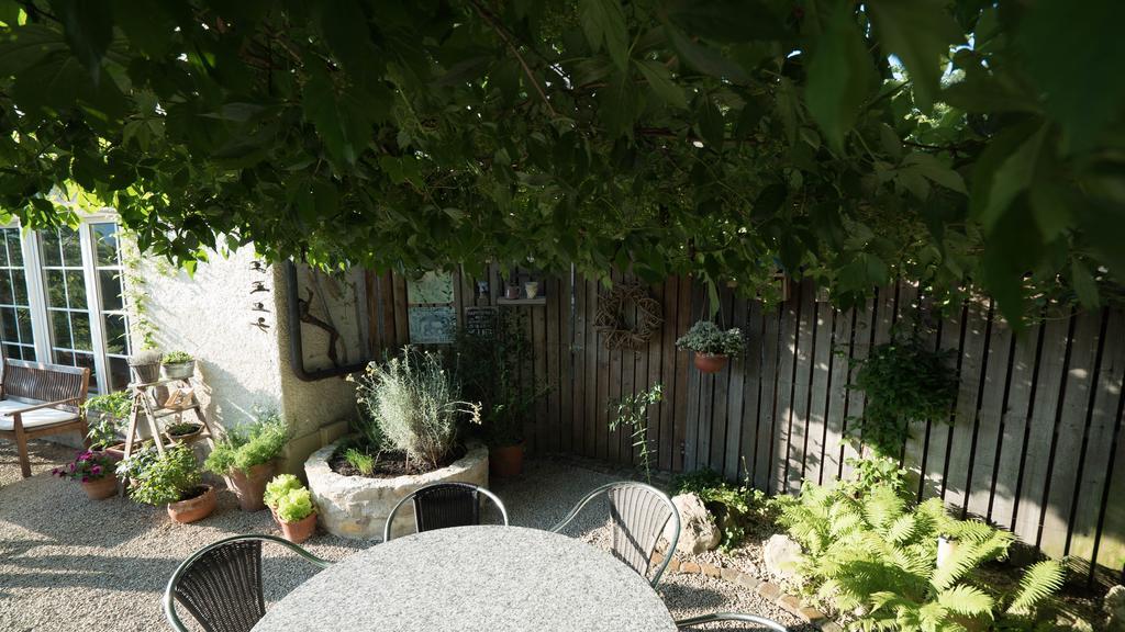 B&B Casa Scaletto Turgi エクステリア 写真